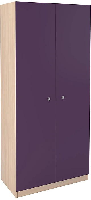 Распашной шкаф эконом класса РВ-45.2 Дизайн-9