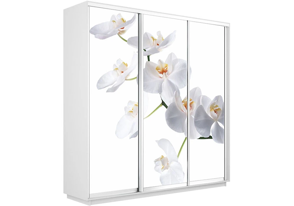 шкаф-купе трехдверный Экспресс Фото Трио Орхидея Белый