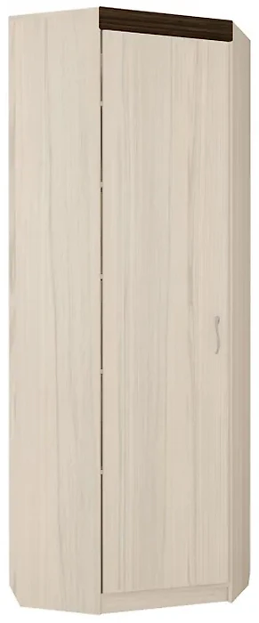Высокий распашной шкаф Ева-2 М4
